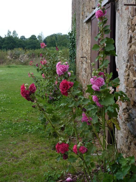 Chambres d'hôtes Le Château Rouge Saint-Germain-sur-Moine Exterior foto